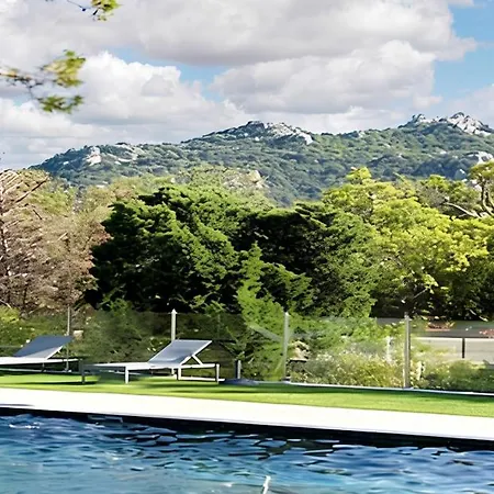A Porto-vecchio Avec Piscine Partagee, 43 M² Lejlighed *